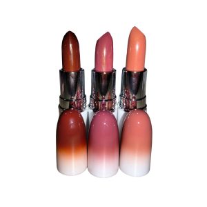 Labial en Barra Larga Duración Ever Beauty - gama 17piezas